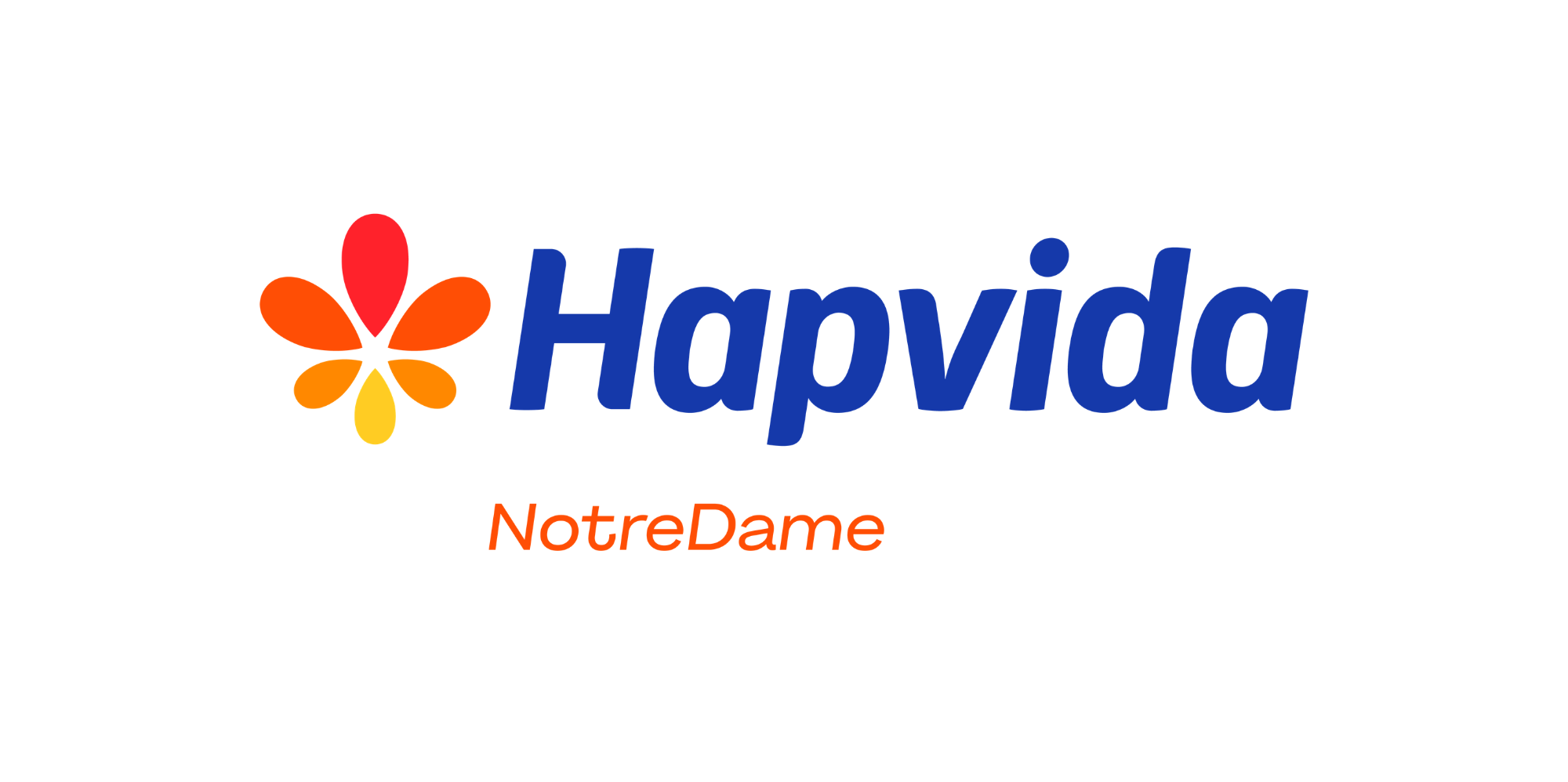 LOGO SITE DM (1)